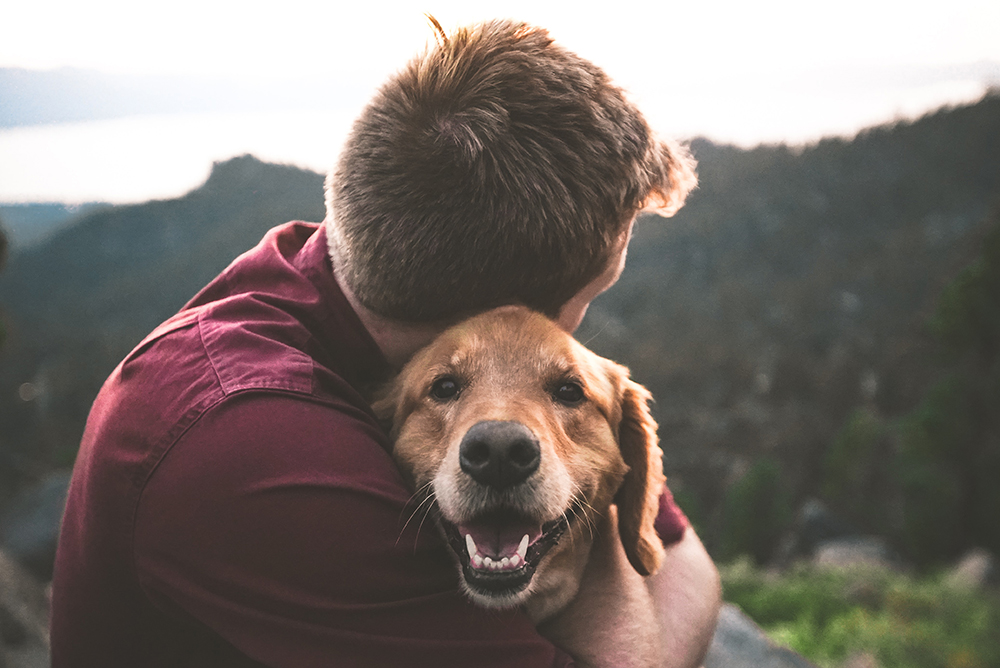 Photo of man hugging a happy looking golden retriever