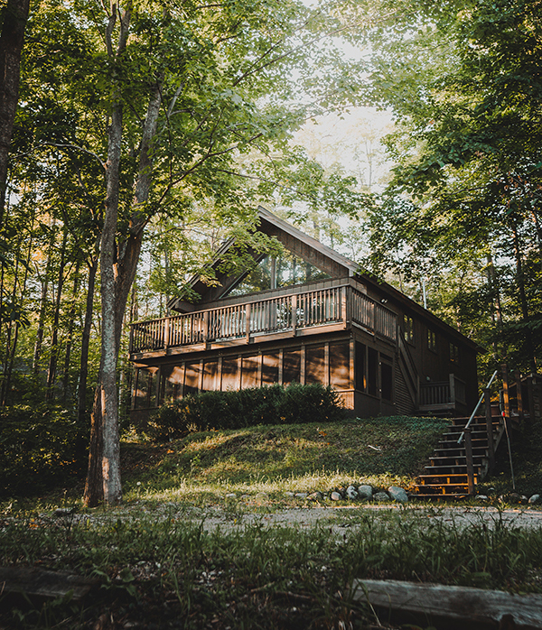 Photo of a big house in a green forest