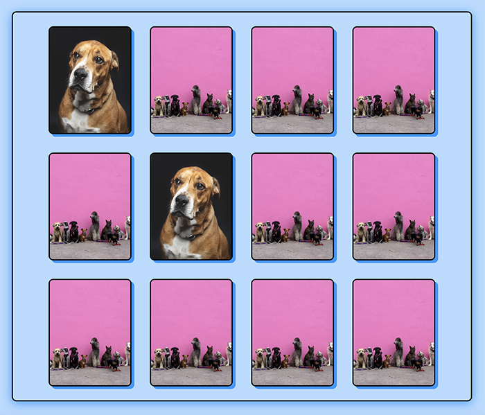 Dog silhouette icon